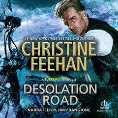 Desolation Road by Christine Feehan audiobook