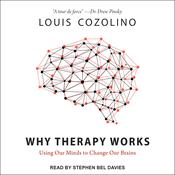 Why Therapy Works by  Louis Cozolino audiobook