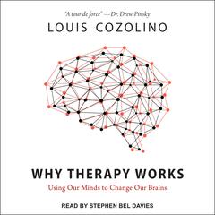 Why Therapy Works by Louis Cozolino audiobook