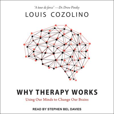 Why Therapy Works by Louis Cozolino audiobook