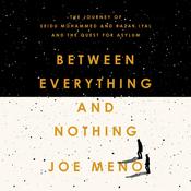 Between Everything and Nothing by  Joe Meno audiobook