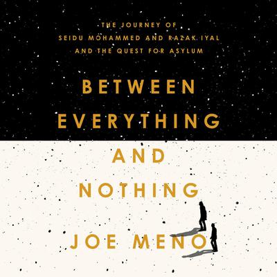 Between Everything and Nothing by Joe Meno audiobook