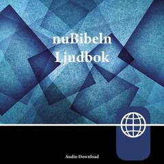 nuBibeln, Audio Download by Zondervan audiobook