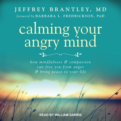 Calming Your Angry Mind by Jeffrey Brantley audiobook