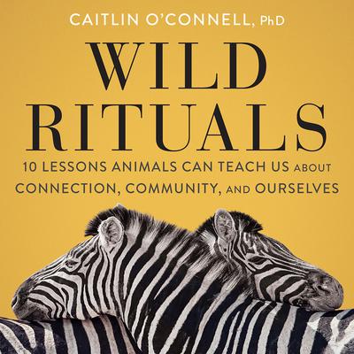 Wild Rituals by Caitlin O'Connell audiobook