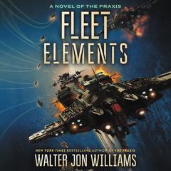 Fleet Elements by Walter Jon Williams audiobook