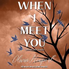 When I Meet You by Olivia Newport audiobook