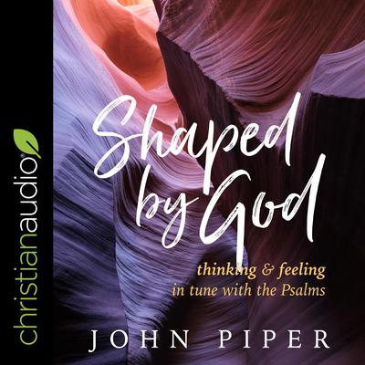 Shaped by God by John Piper audiobook