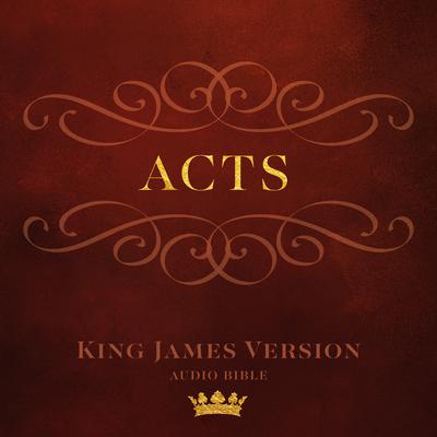Book of Acts by Made for Success audiobook