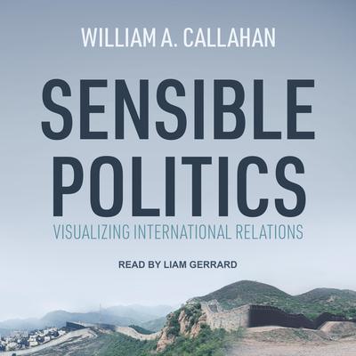Sensible Politics by William A. Callahan audiobook
