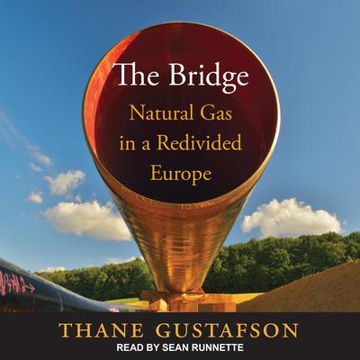 The Bridge by Thane Gustafson audiobook