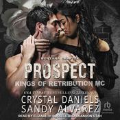 Prospect by  Sandy Alvarez audiobook