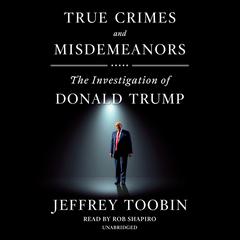 True Crimes and Misdemeanors by Jeffrey Toobin audiobook
