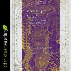 Free at Last? by Carl F. Ellis audiobook