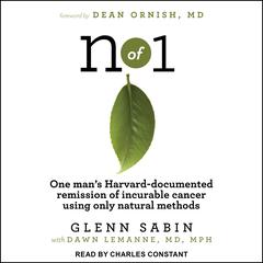 n of 1 by Glenn Sabin audiobook