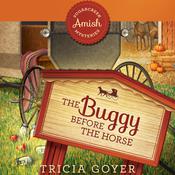 The Buggy Before the Horse by  Tricia Goyer audiobook