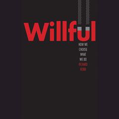 Willful by Richard Robb audiobook