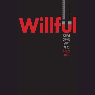 Willful by Richard Robb audiobook