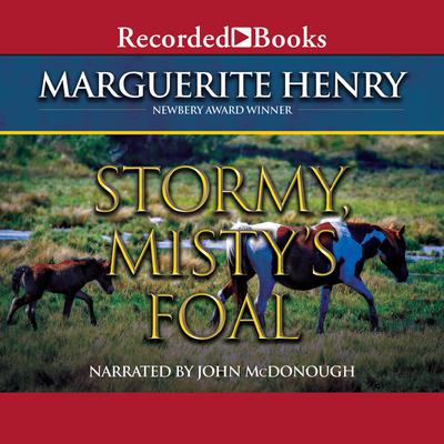 Stormy, Misty's Foal by Marguerite Henry audiobook