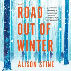 Road Out of Winter by Alison Stine audiobook