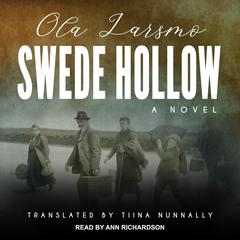Swede Hollow by Ola Larsmo audiobook