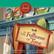 In the Fullness of Time by  Tricia Goyer audiobook