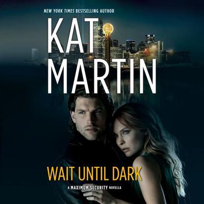 Wait Until Dark by Kat Martin audiobook