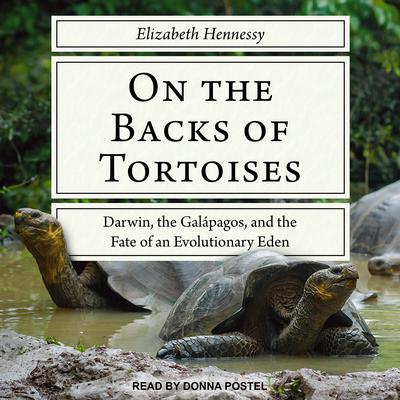 On the Backs of Tortoises by Elizabeth Hennessy audiobook