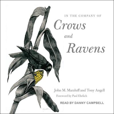 In the Company of Crows and Ravens by Tony Angell audiobook