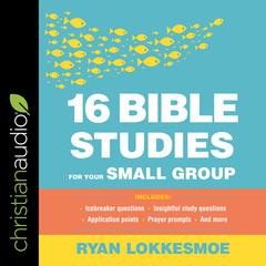 16 Bible Studies for Your Small Group by Ryan Lokkesmoe audiobook