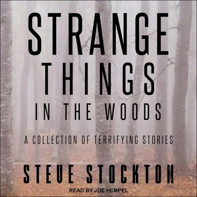 Strange Things in the Woods by Steve Stockton audiobook