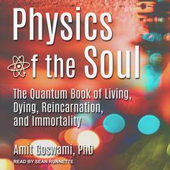 Physics of the Soul by Amit Goswami audiobook