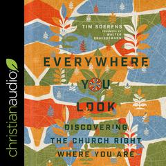 Everywhere You Look by Tim Soerens audiobook