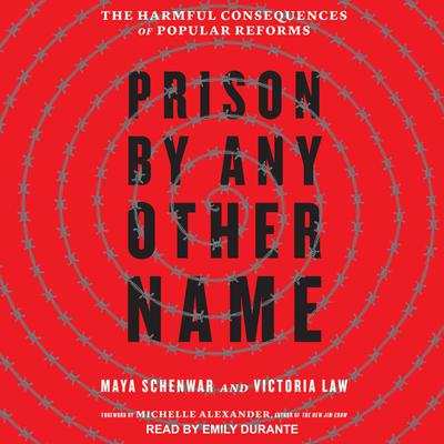 Prison by Any Other Name by Victoria Law audiobook