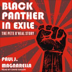 Black Panther in Exile by Paul J. Magnarella audiobook