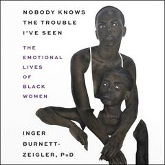 Nobody Knows the Trouble I’ve Seen by Inger Burnett-Zeigler audiobook