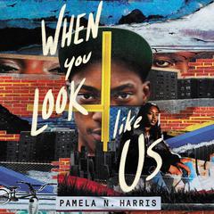 When You Look Like Us by Pamela N. Harris audiobook