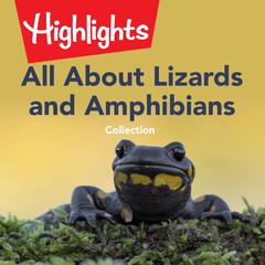 All About Lizards and Amphibians Collection by Highlights for Children audiobook