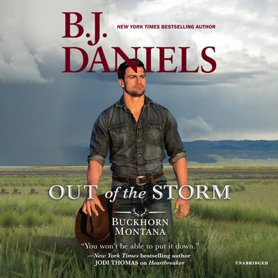 Out of the Storm by B. J. Daniels audiobook