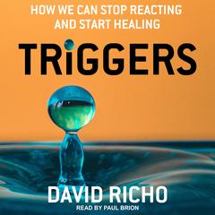 Triggers by David Richo audiobook