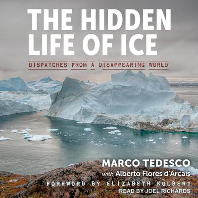 The Hidden Life of Ice by Marco Tedesco audiobook