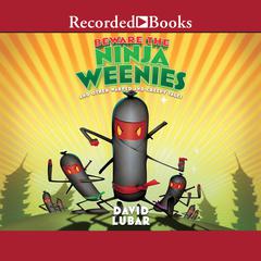 Beware the Ninja Weenies by David Lubar audiobook
