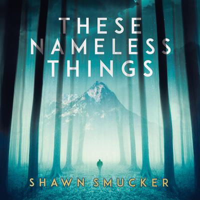 These Nameless Things by Shawn Smucker audiobook