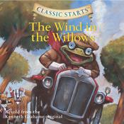 The Wind in the Willows by  Martin Woodside audiobook