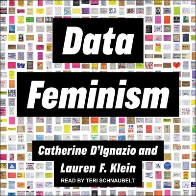 Data Feminism by Catherine D'Ignazio audiobook