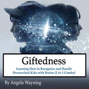 Giftedness: Learning How to Recognize and Handle Overexcited Kids with Brains (2 in 1 Combo) by  Angela Wayning audiobook