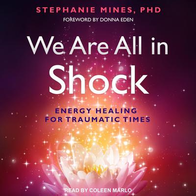 We Are All in Shock by Stephanie Mines audiobook
