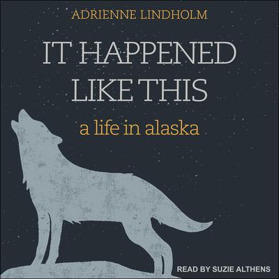 It Happened Like This by Adrienne Lindholm audiobook