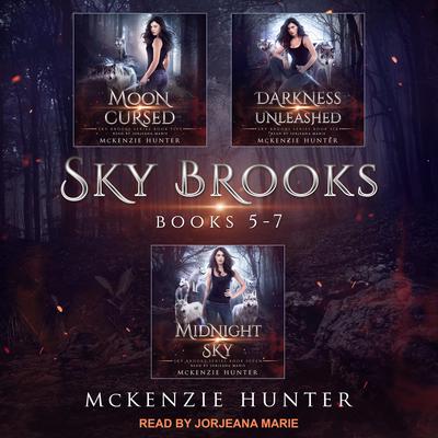Sky Brooks by McKenzie Hunter audiobook