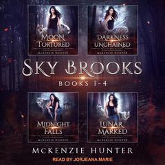 Sky Brooks by McKenzie Hunter audiobook
